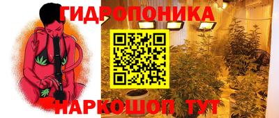 хмурый Краснознаменск