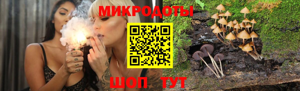 Галлюциногенные грибы Psilocybe  Псилоцибиновые грибы Psilocybine cubensis  Вход с VPN  Донской 